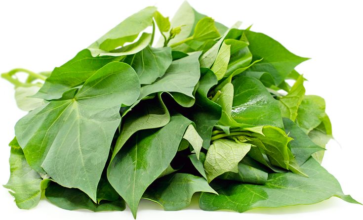 Sweet Potato Leaves
