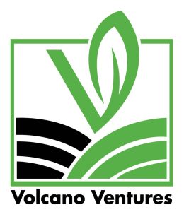 logo-260x300