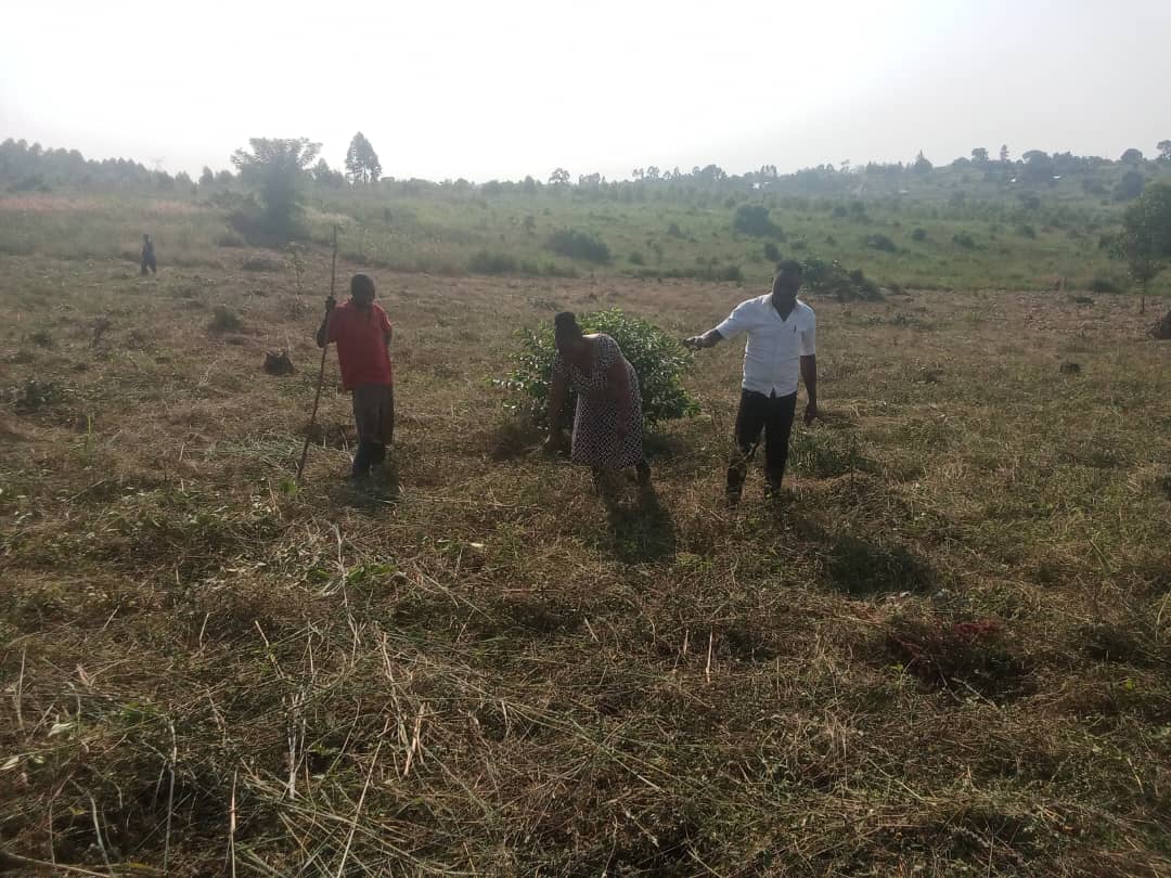 field clearing