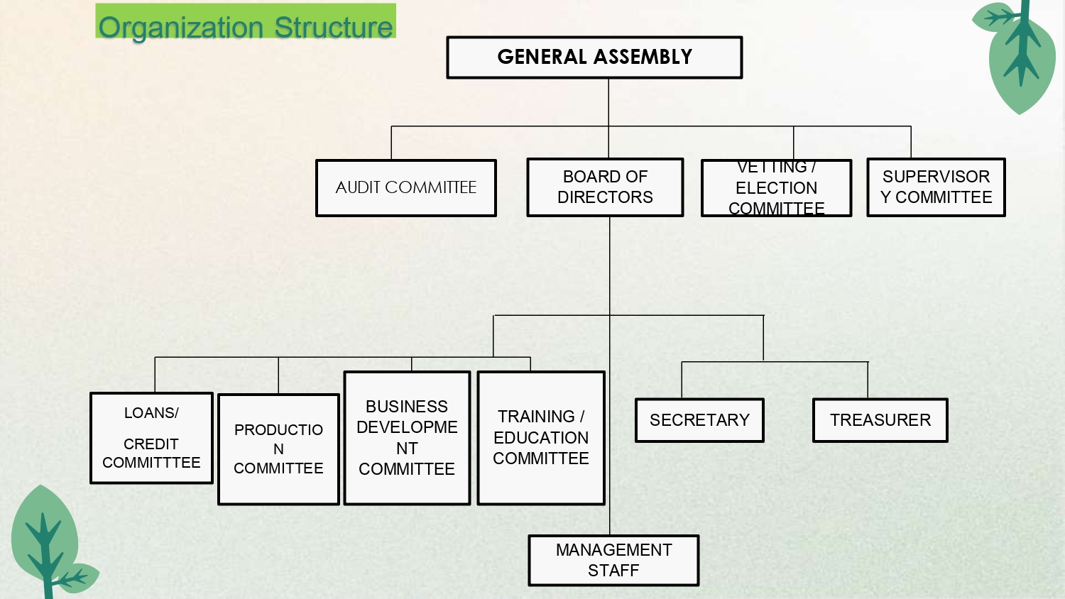Organisation structure _page-0001